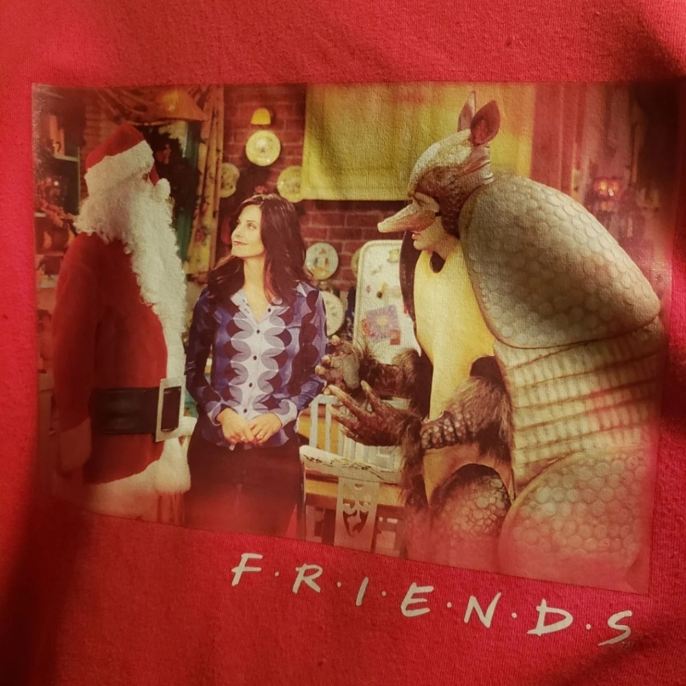 FRIENDS Holiday Armadillo Christmas Sweater